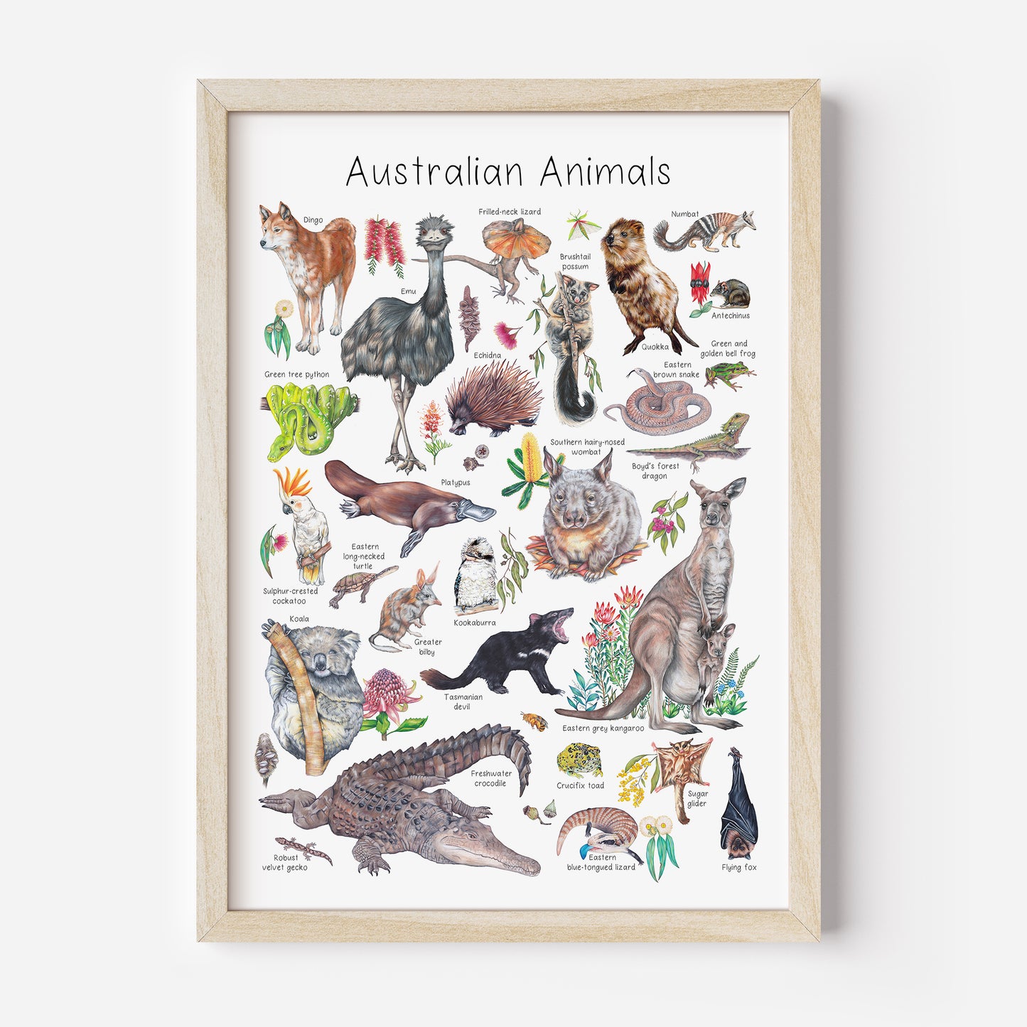 Australian Animal Poster DIGITAL DOWNLOAD