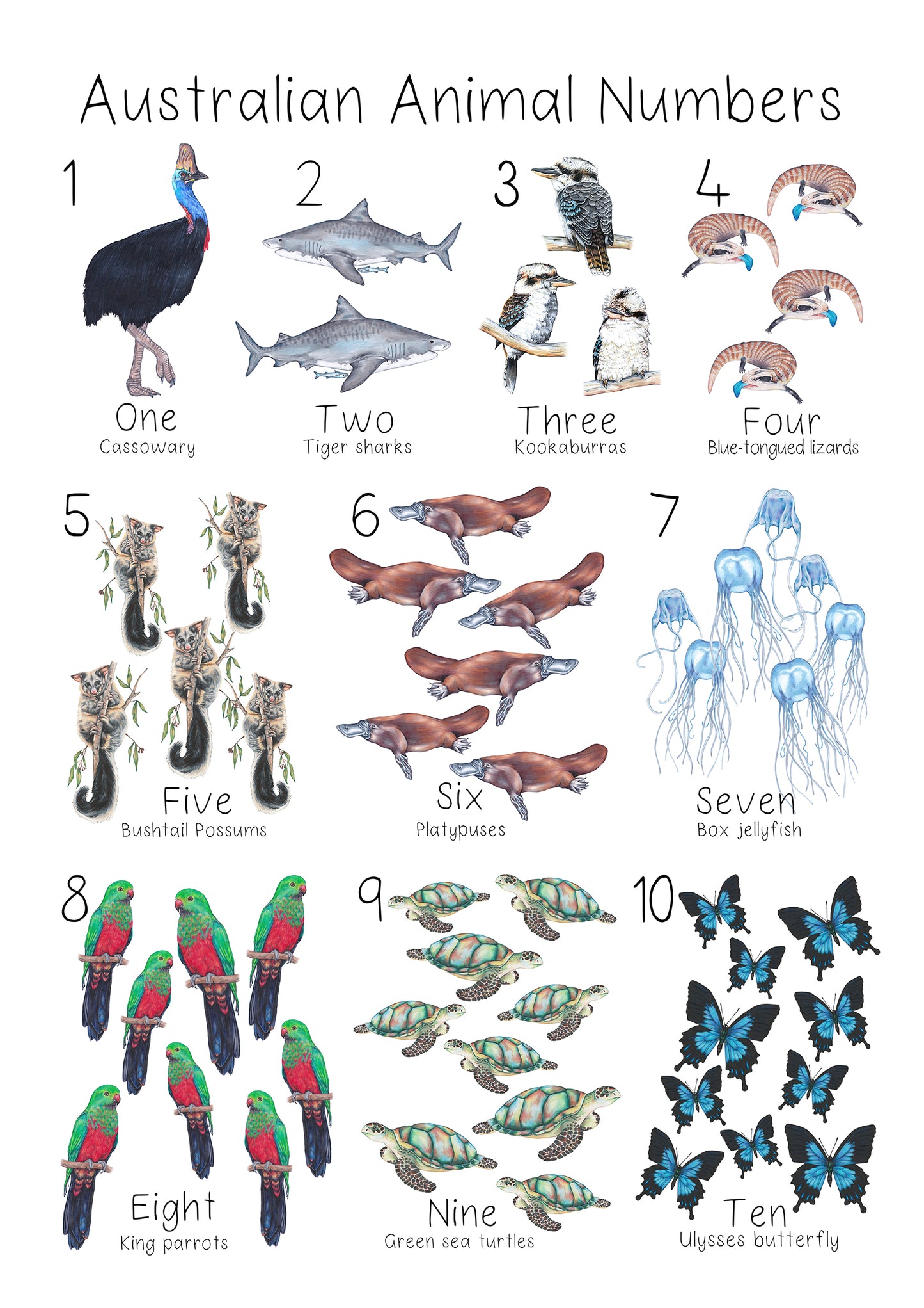 Australian Animal Numbers 1 - 10 A3 Print