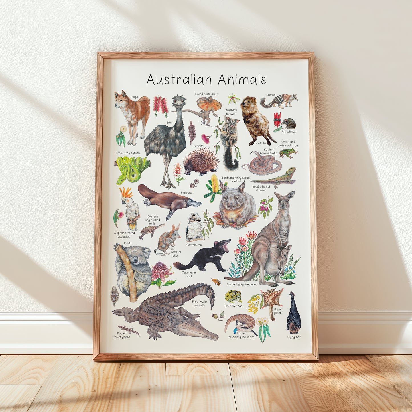 Australian Animal A3 Print