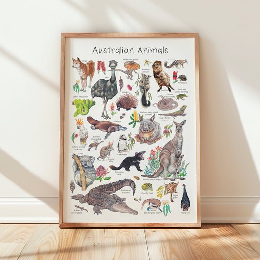 Australian Animal A3 Print
