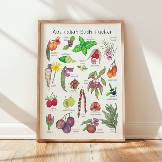 Australian Bush Tucker A3 Print