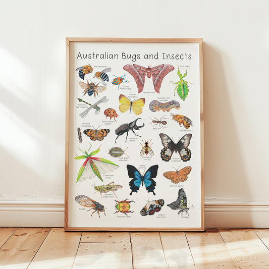 Australian Insects and Bugs A3 Print
