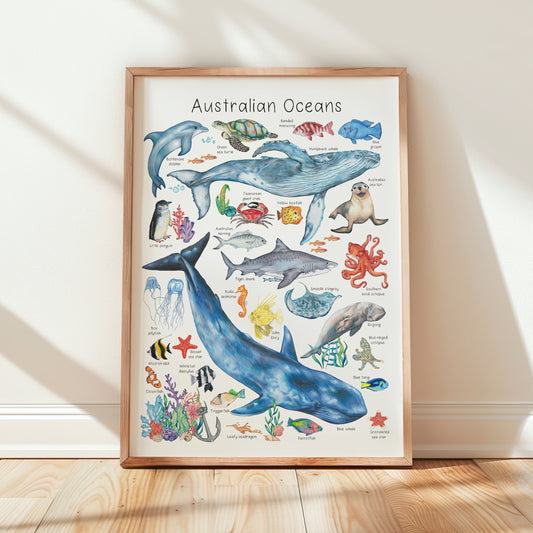 Australian Oceans A3 Print