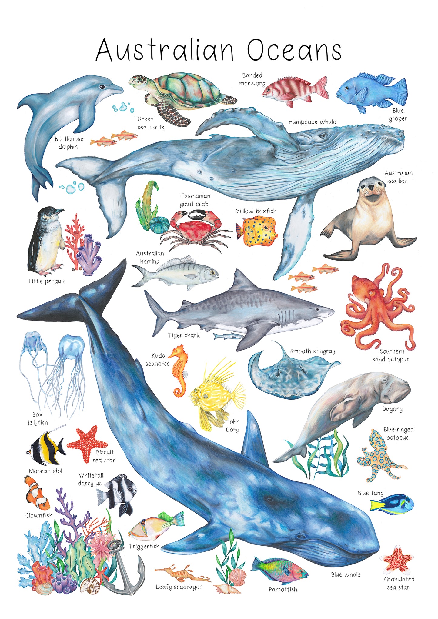 Australian Oceans A3 Print