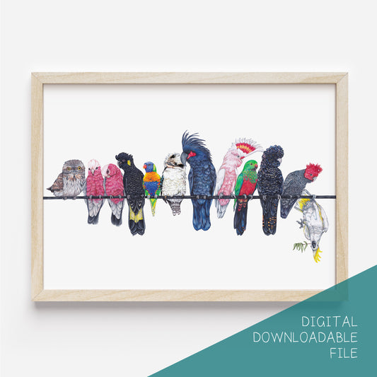Australian birds on a line DIGITAL DOWNLOAD