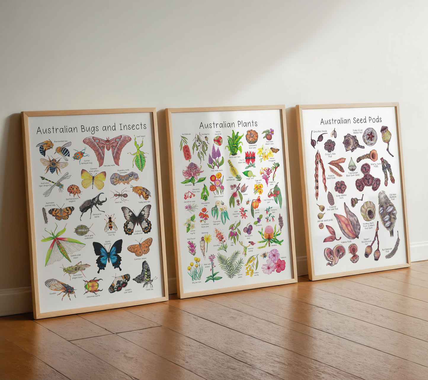 Australian Insects and Bugs A3 Print