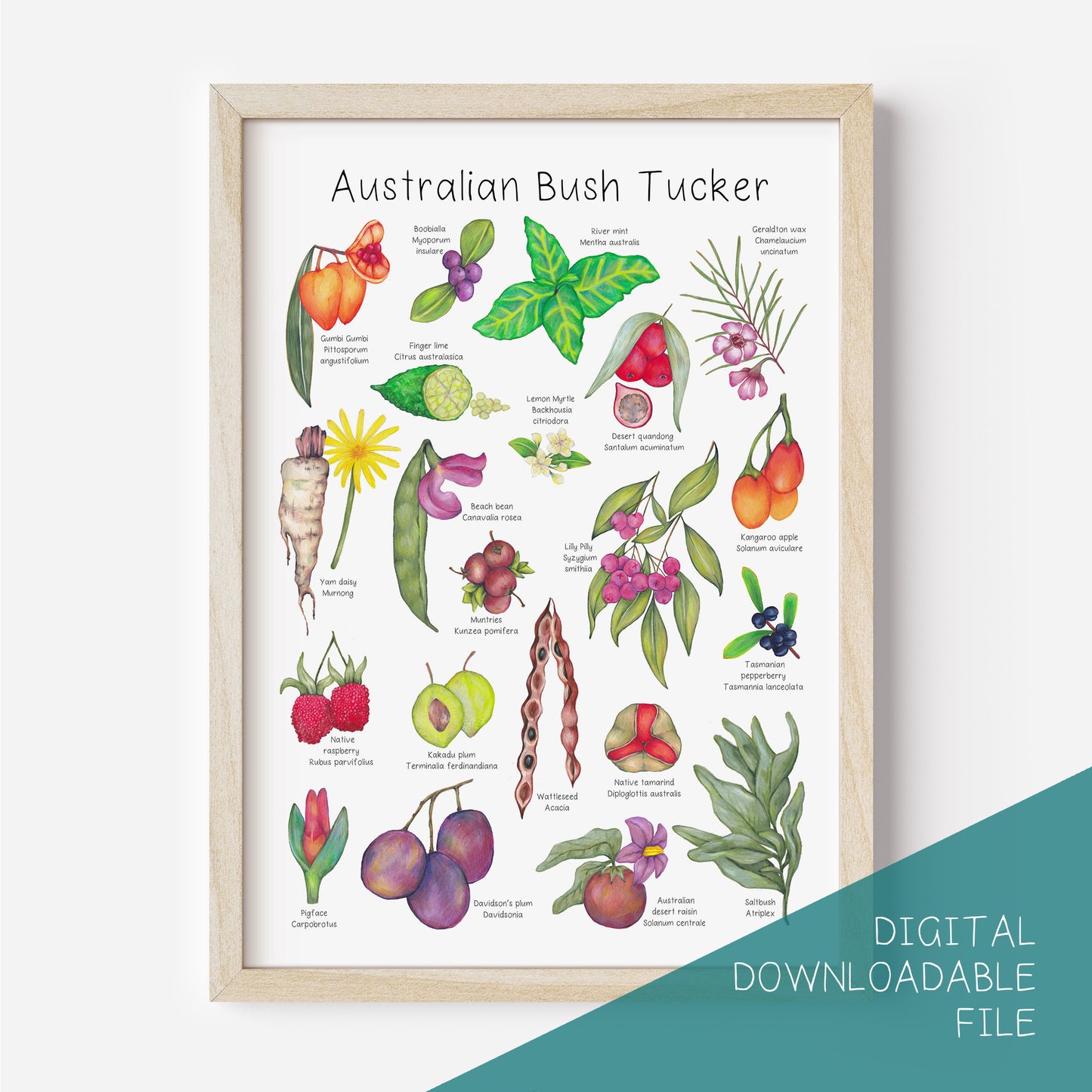 Australian Bush Tucker Poster DIGITAL DOWNLOAD