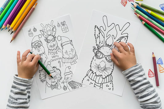 Australian Christmas Animals Colouring In Bundle DIGITAL DOWNLOAD