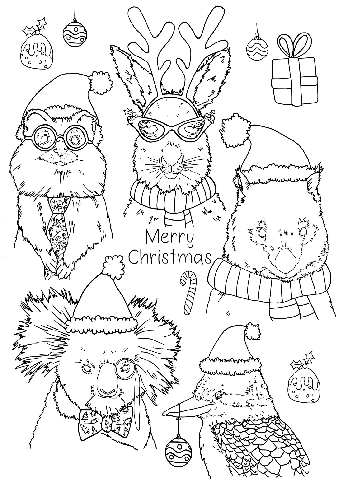 Australian Christmas Animals Colouring In Bundle DIGITAL DOWNLOAD