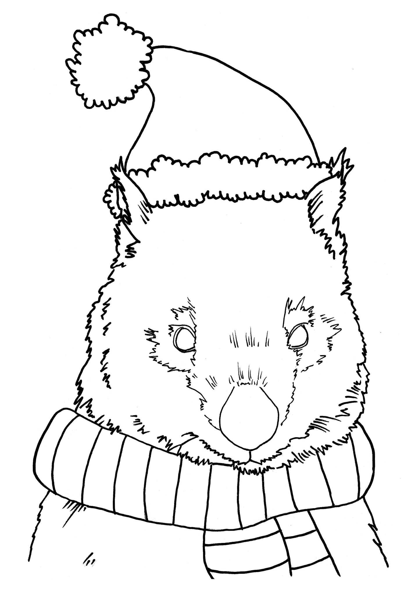 Australian Christmas Animals Colouring In Bundle DIGITAL DOWNLOAD