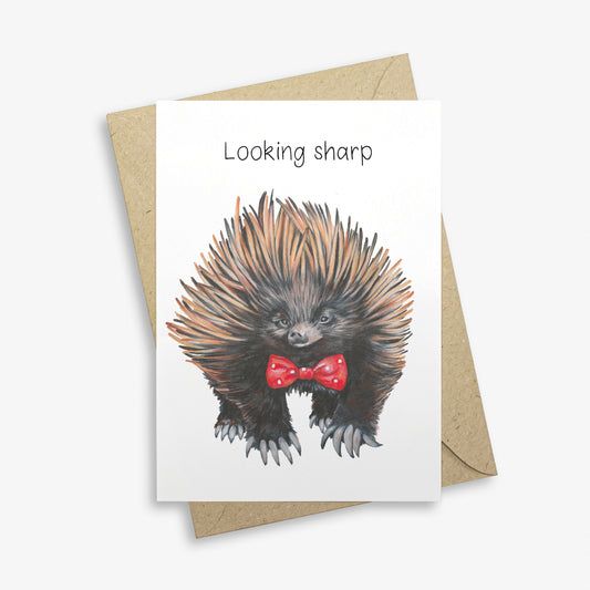 Echidna Greetings Card