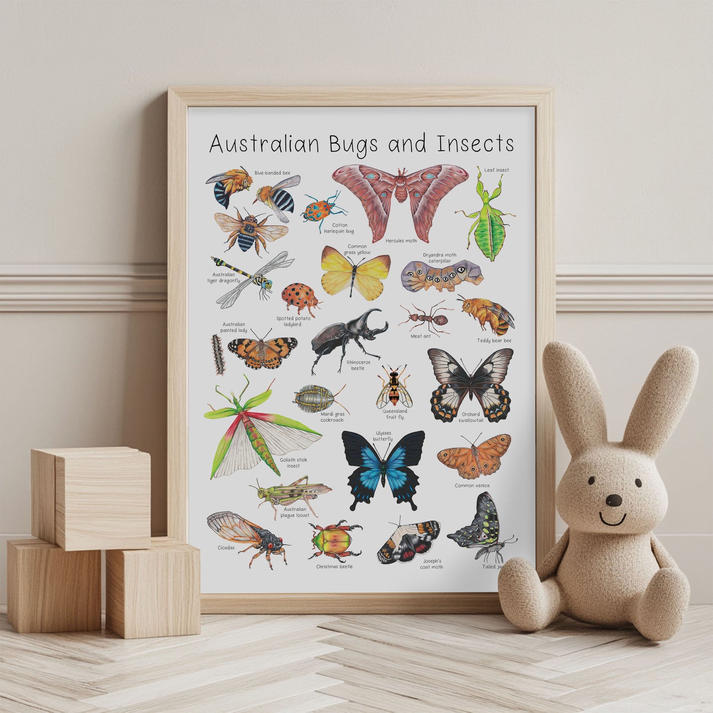 Australian Insects and Bugs A3 Print