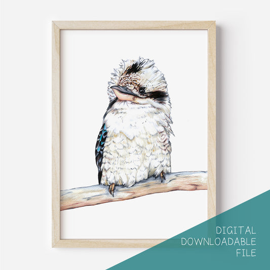 Australian kookaburra DIGITAL DOWNLOAD