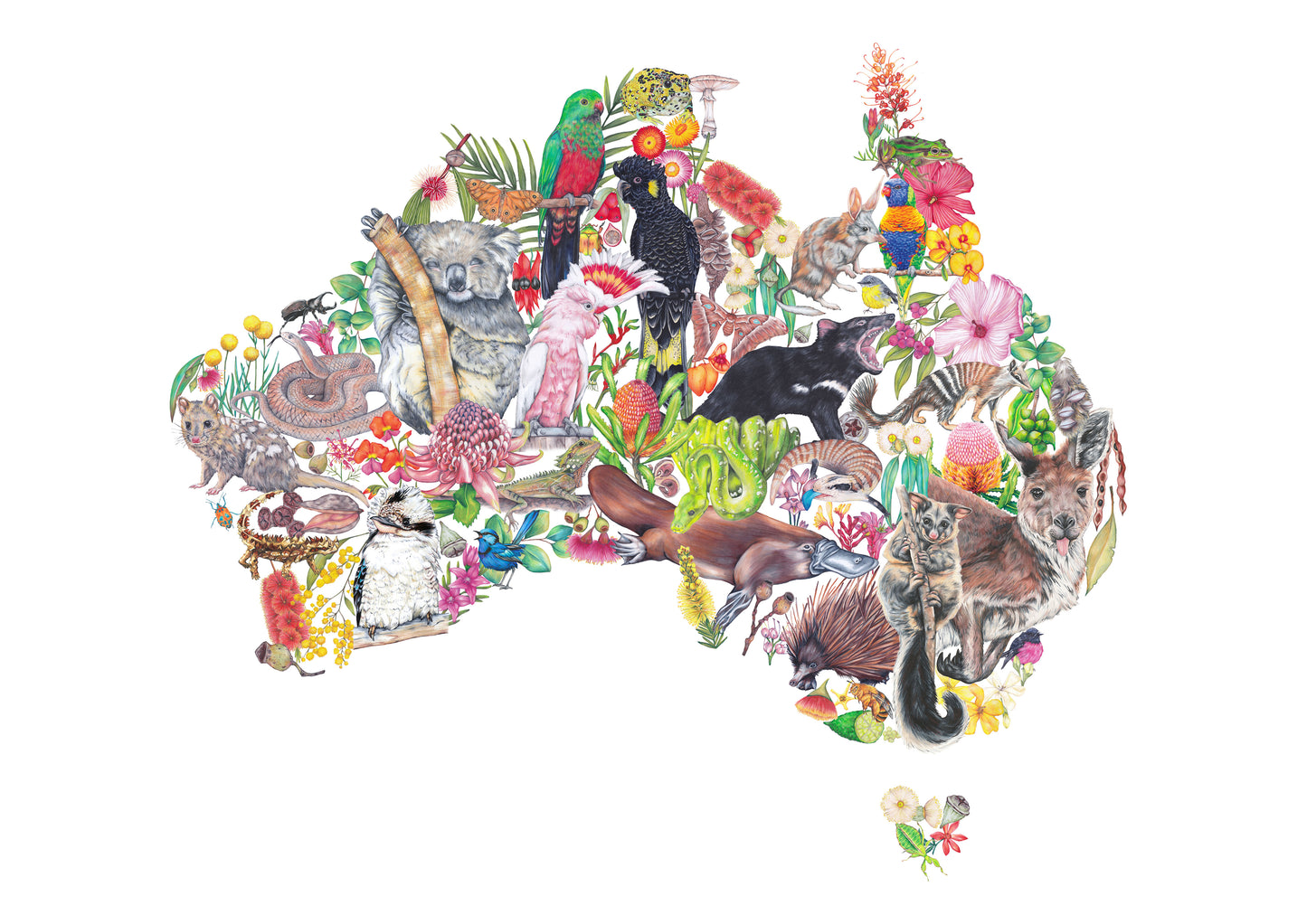 Australian Native Wildlife Map A3 Print