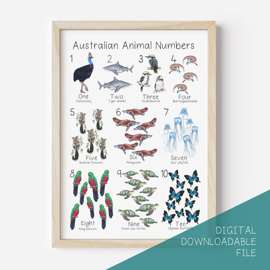 Australian Animal 1 to 10 Numbers Poster DIGITAL DOWNLOAD