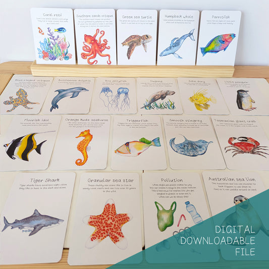 Australian Ocean Animal Flash Cards DIGITAL DOWNLOAD