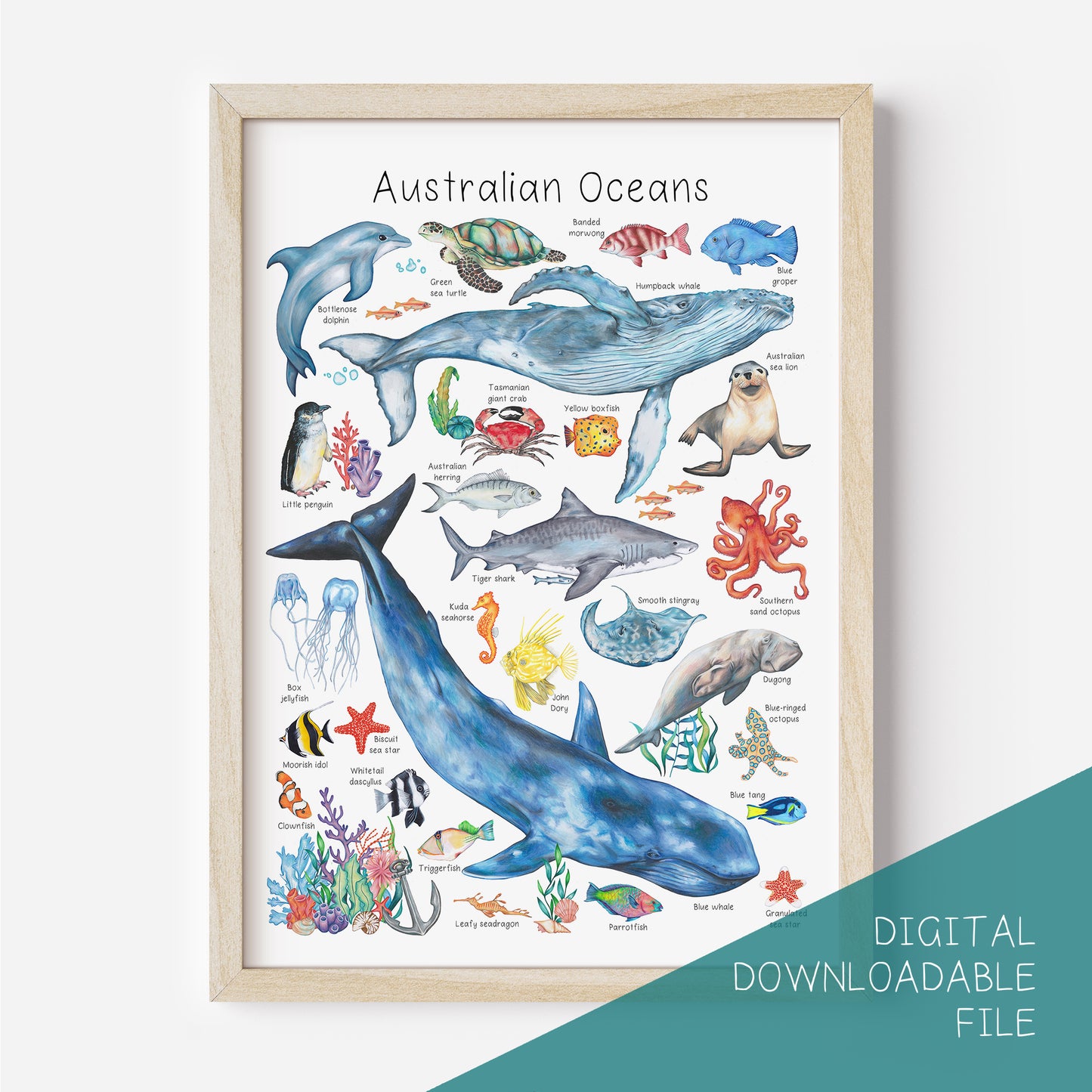 Australian Oceans Poster DIGITAL DOWNLOAD
