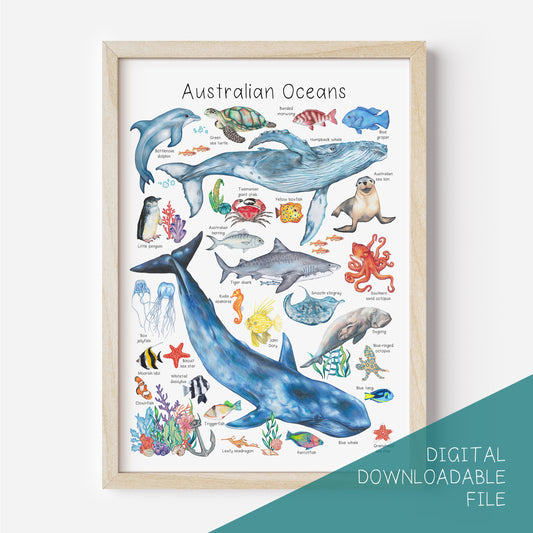 Australian Oceans Poster DIGITAL DOWNLOAD
