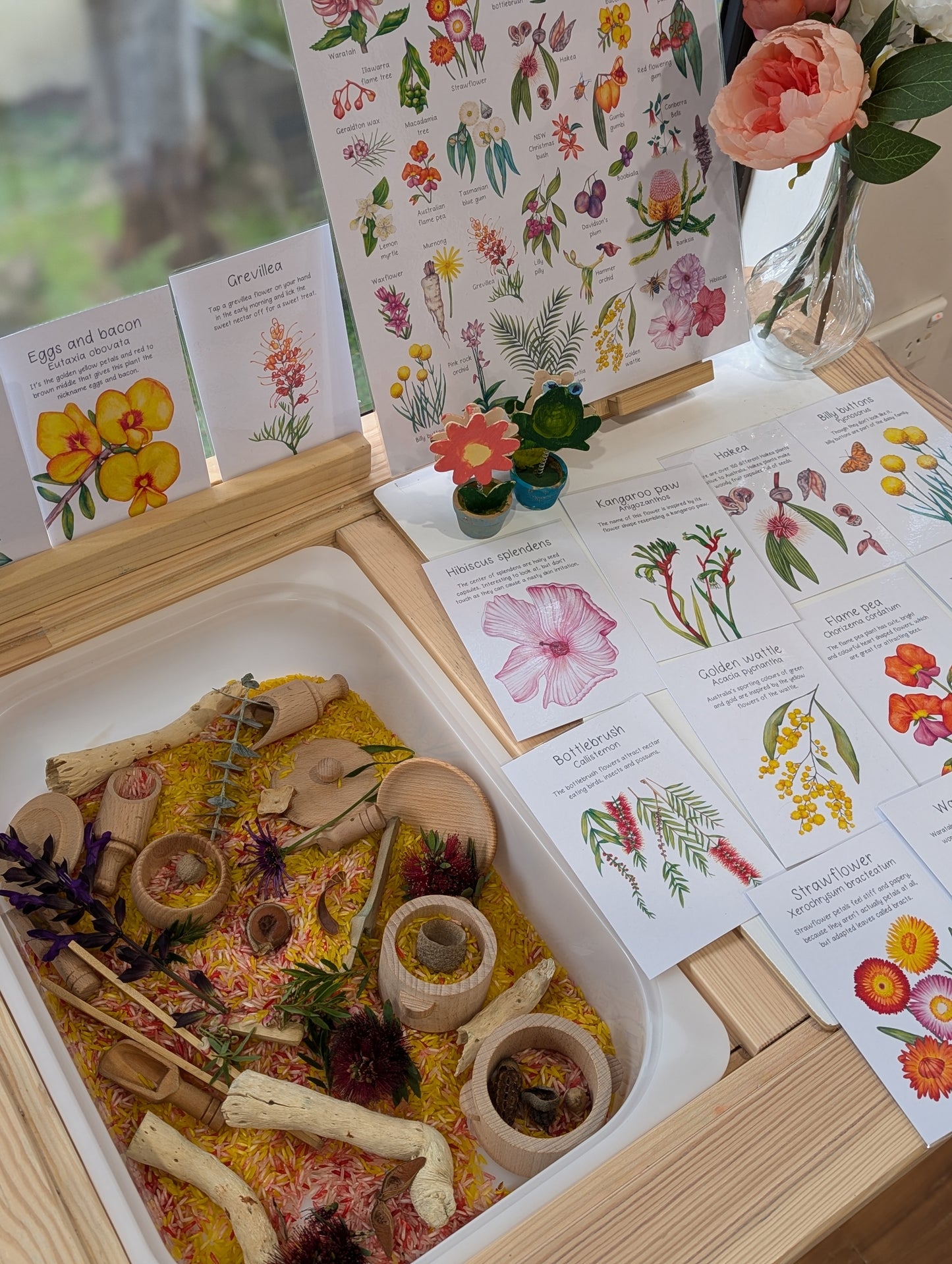 Australian Native Plant Flash Cards DIGITAL DOWNLOAD