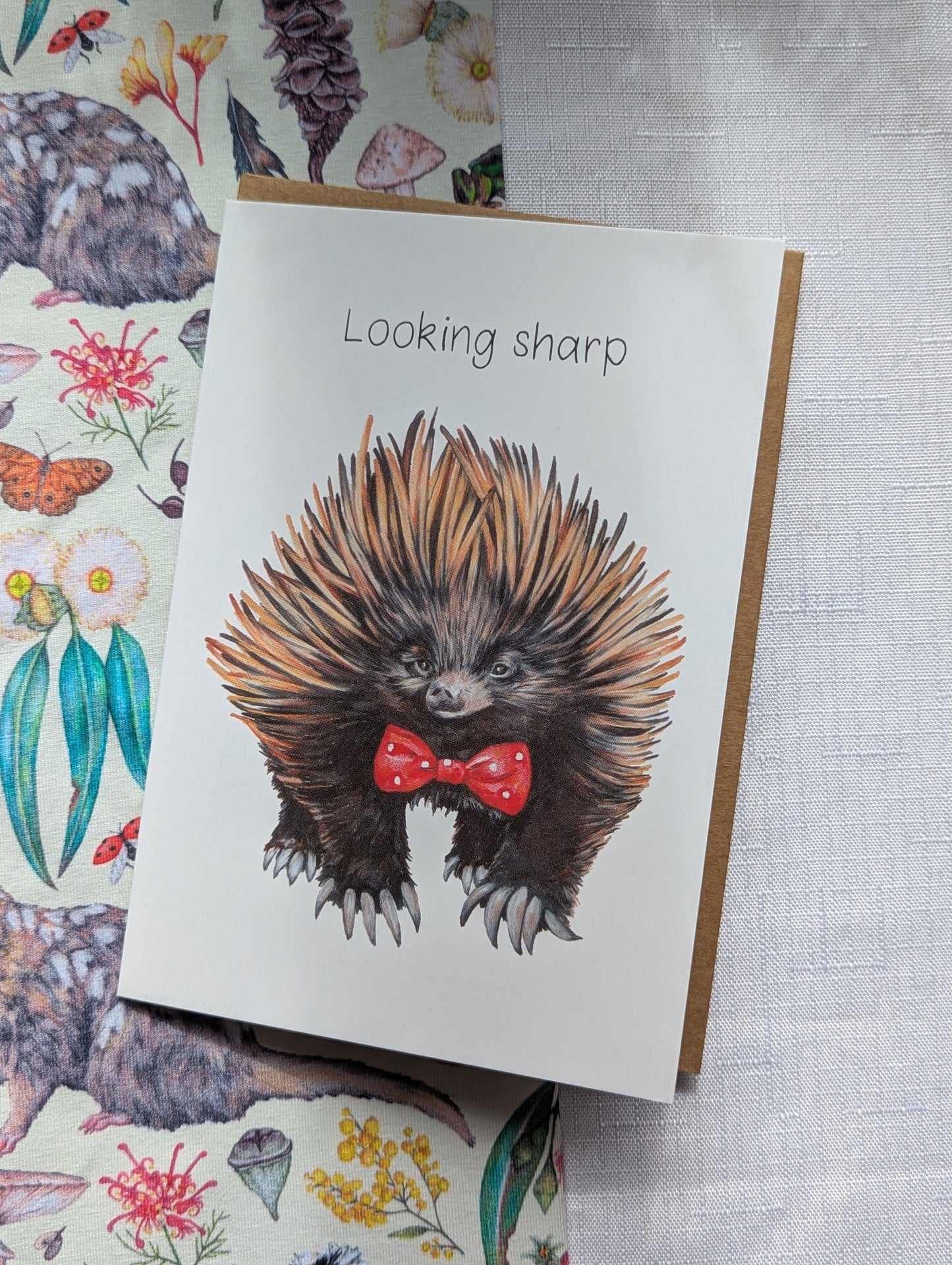 Echidna Greetings Card