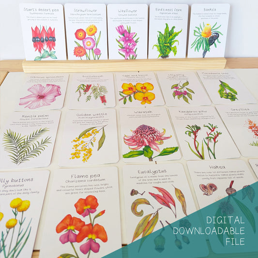 Australian Native Plant Flash Cards DIGITAL DOWNLOAD