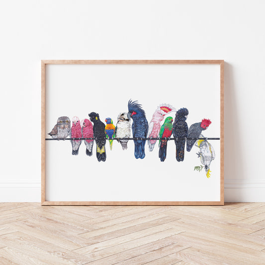 Australian Native Birds on a Line A3 Print