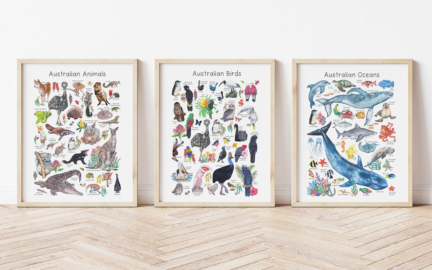 Australian Oceans A3 Print