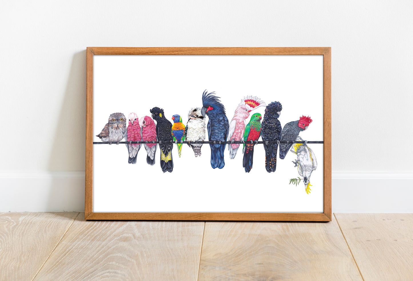 Australian Native Birds on a Line A3 Print
