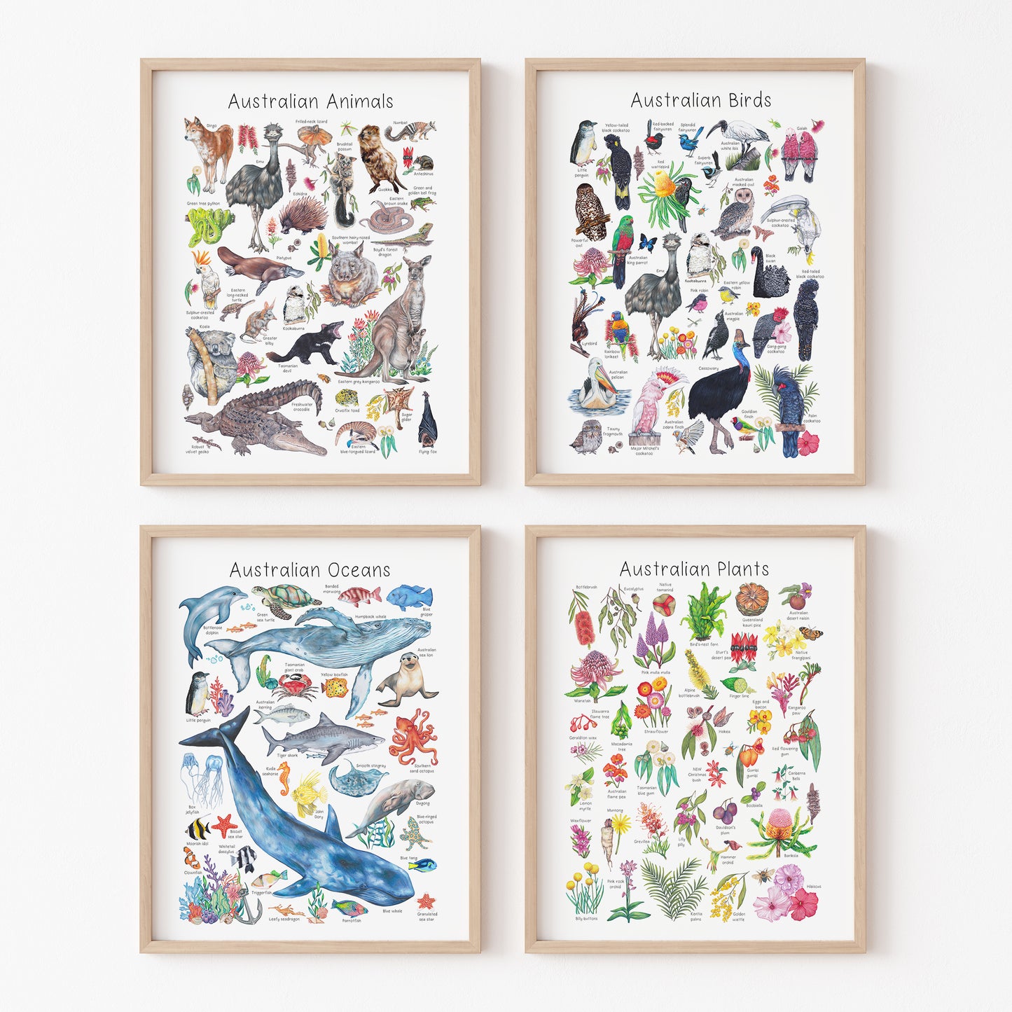 Australian Birds Poster DIGITAL DOWNLOAD