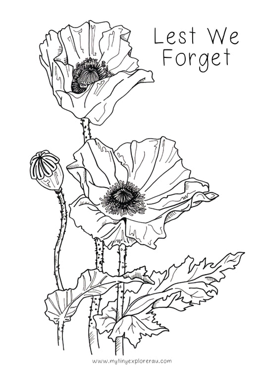 Poppy ANZAC Day Colouring In Sheet A4