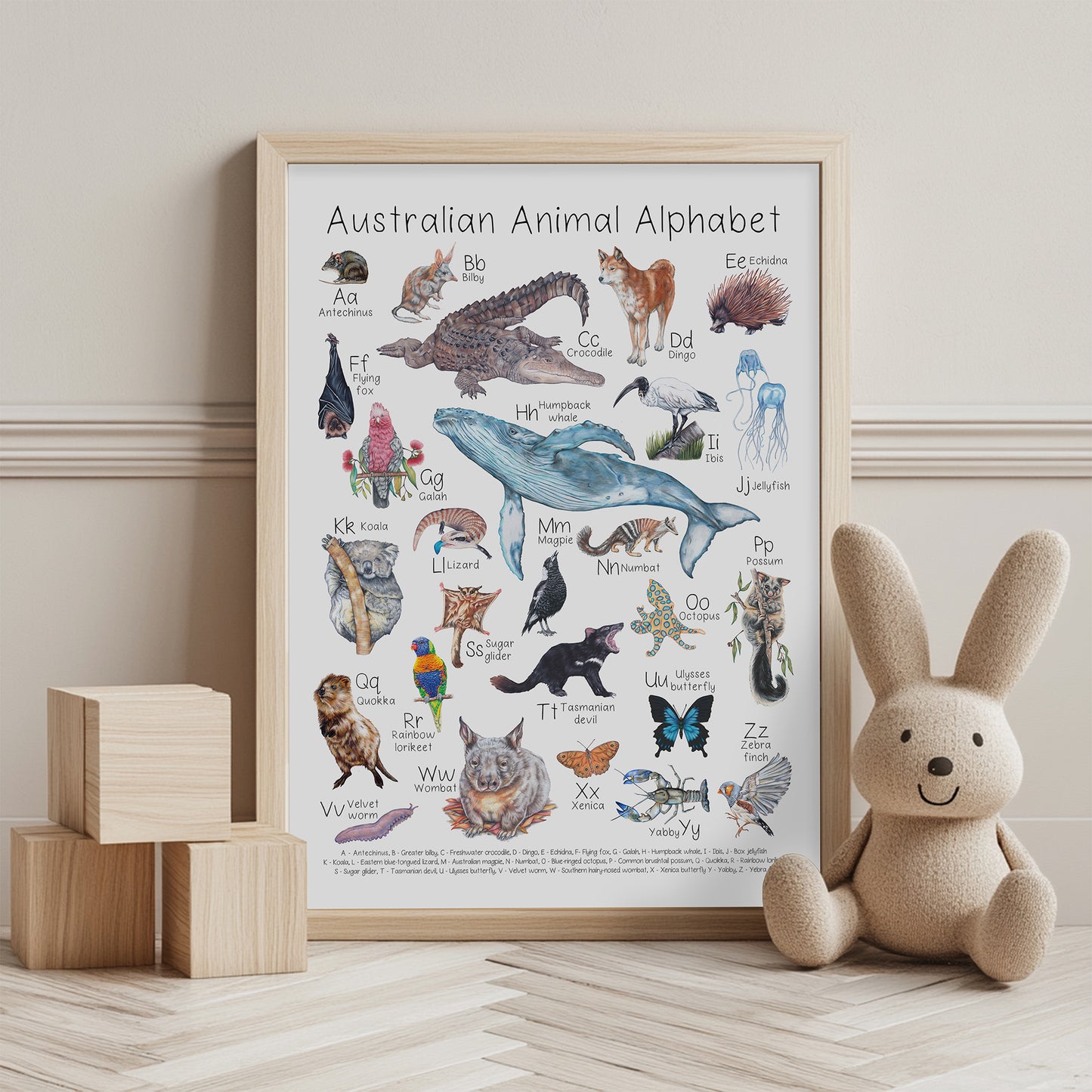 Australian Animal Alphabet A3 Print