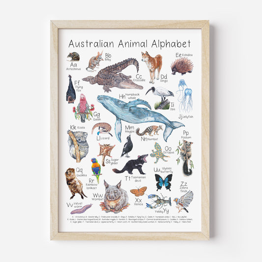 Australian Animal Alphabet Poster DIGITAL DOWNLOAD