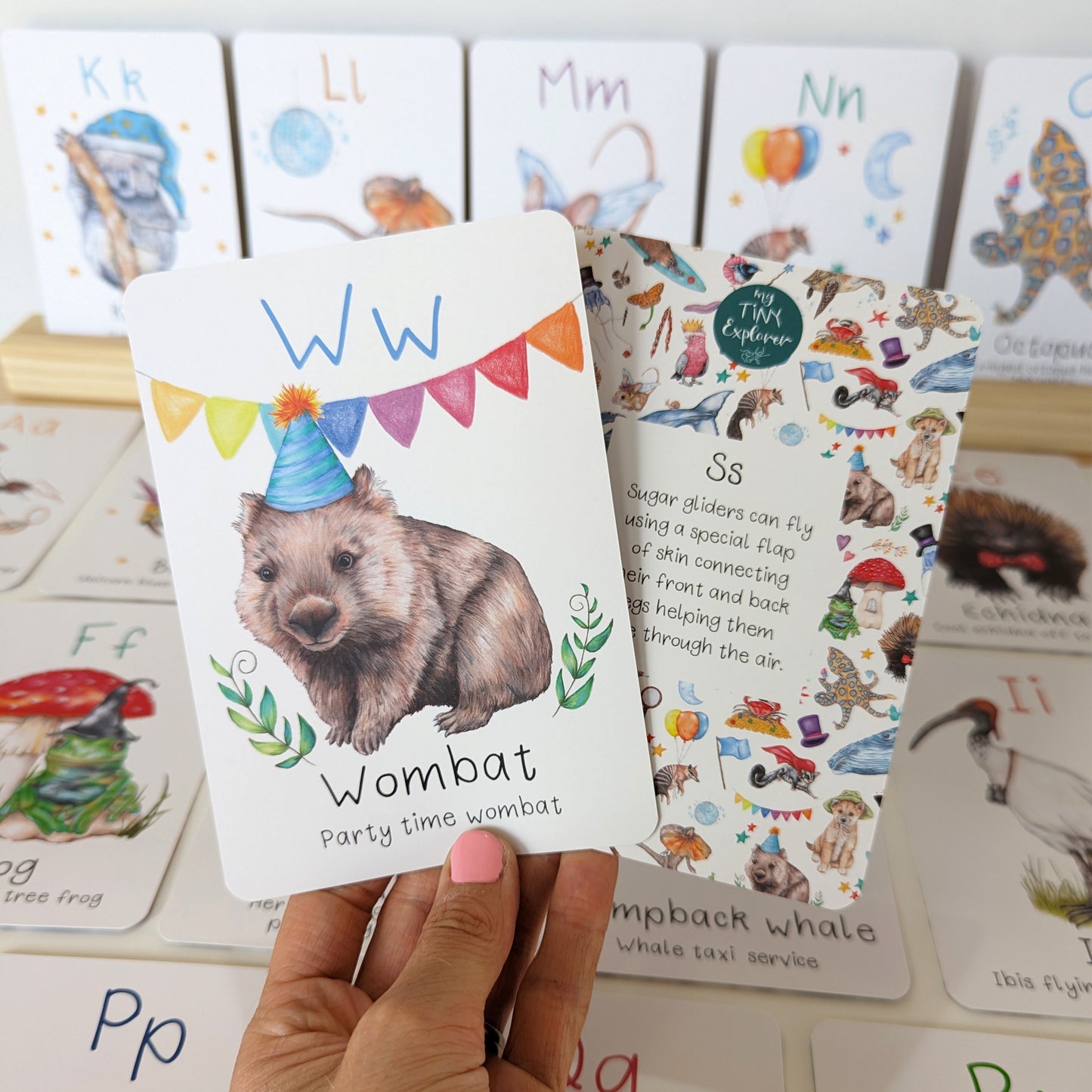 Australian Animal Alphabet Flash Cards