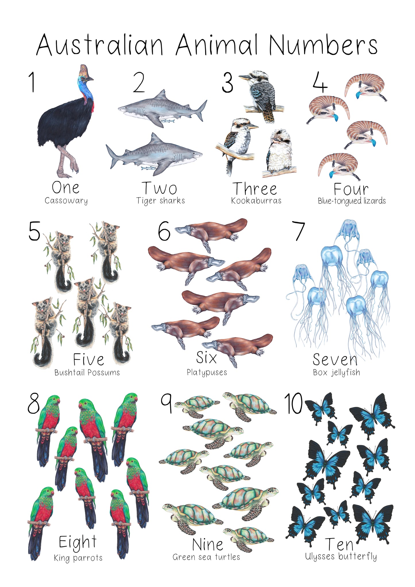 Australian Animal 1 to 10 Numbers Poster DIGITAL DOWNLOAD