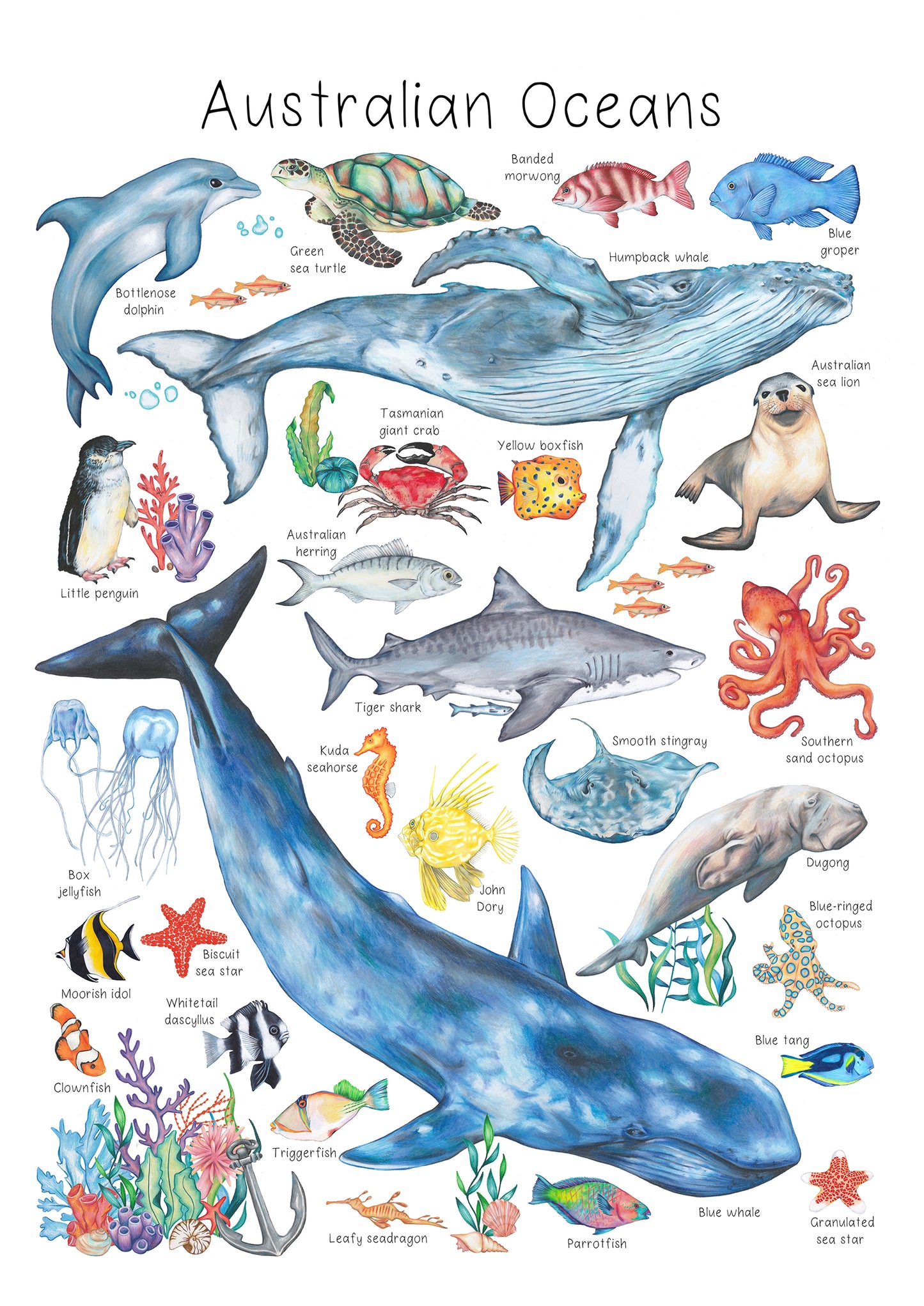 Australian Oceans Poster DIGITAL DOWNLOAD