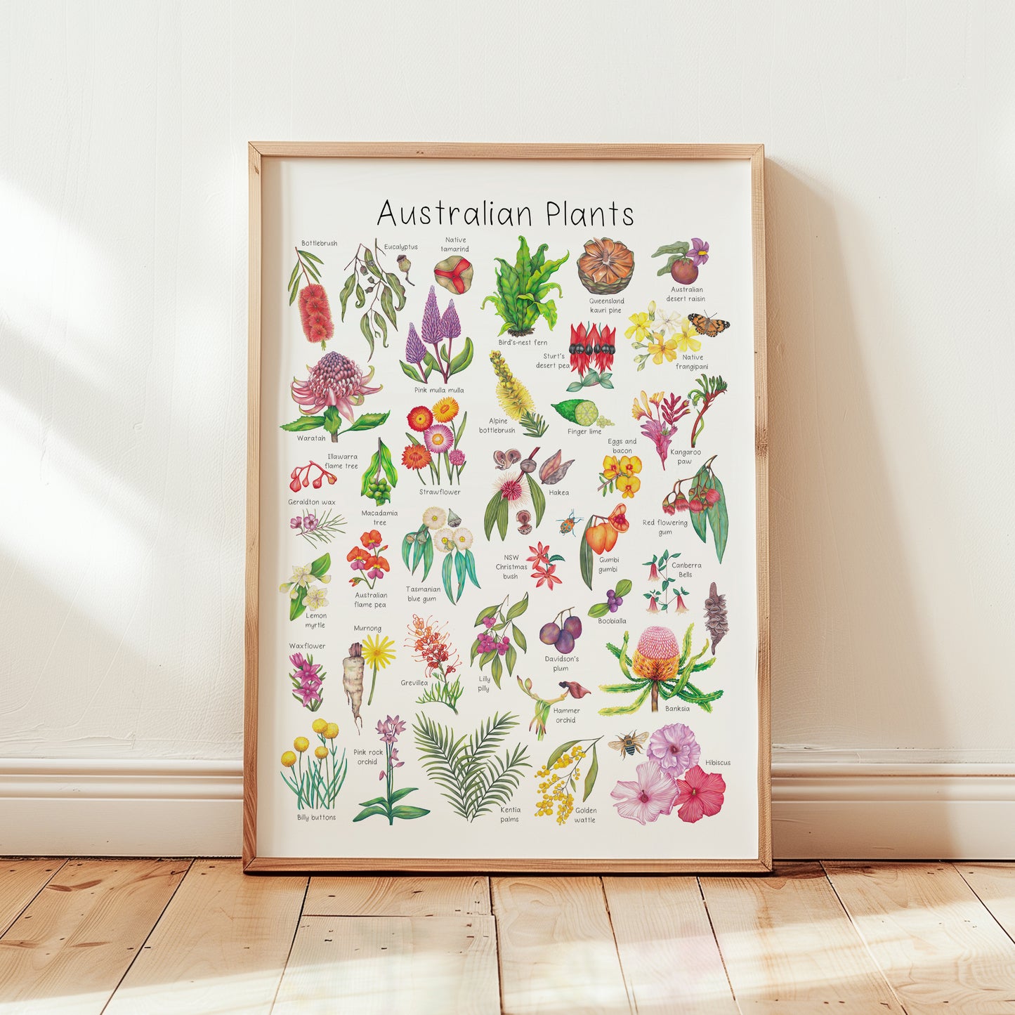 Australian Native Plants A3 Print