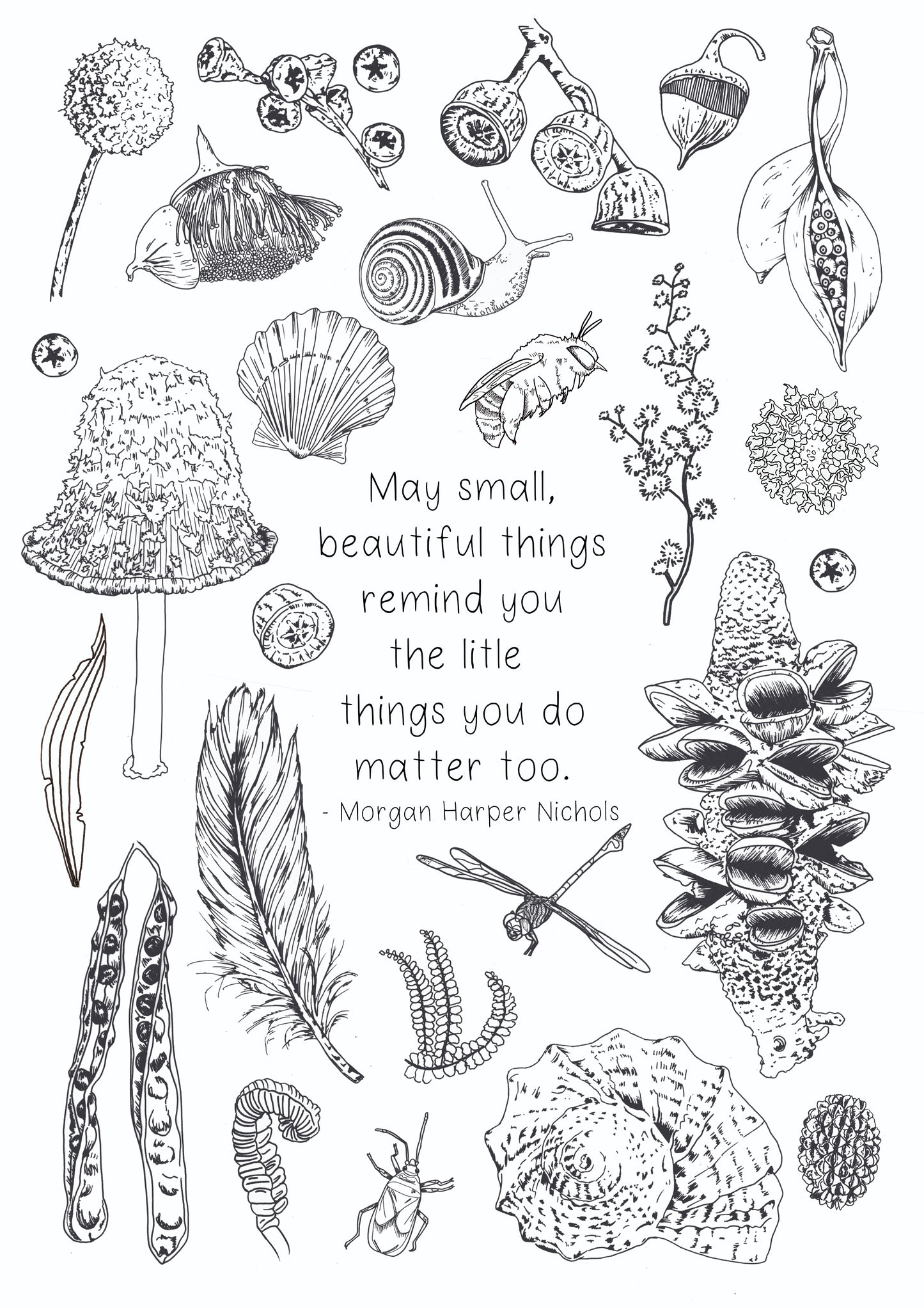 Small Treasurers Colouring In Page DIGITAL DOWNLOAD