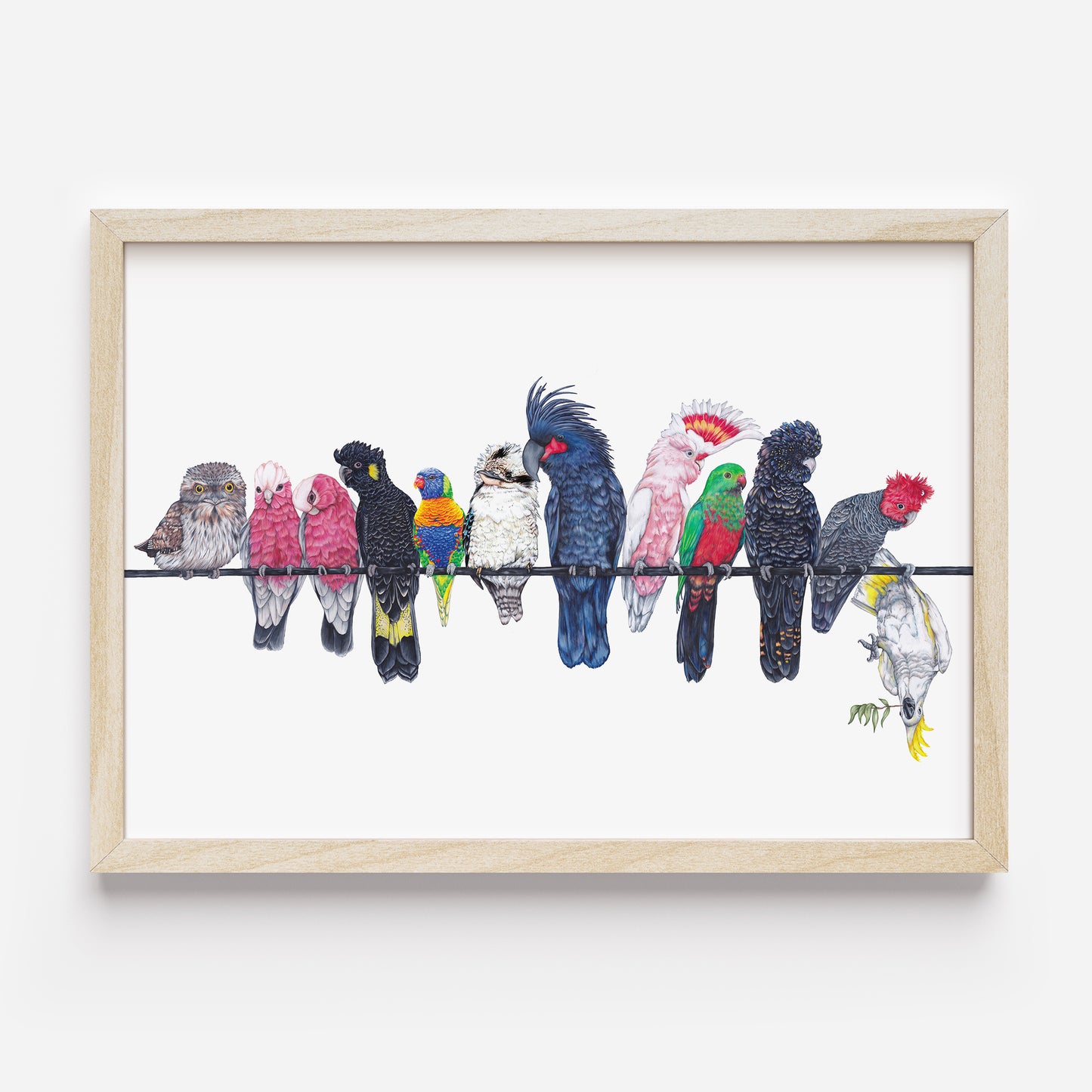 Australian birds on a line DIGITAL DOWNLOAD