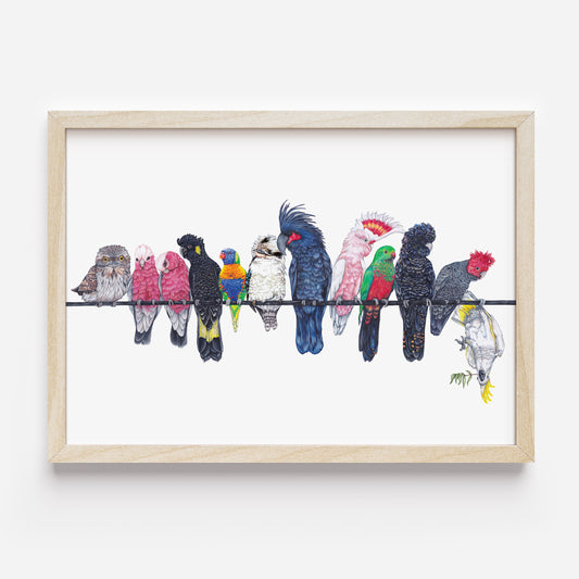 Australian birds on a line DIGITAL DOWNLOAD