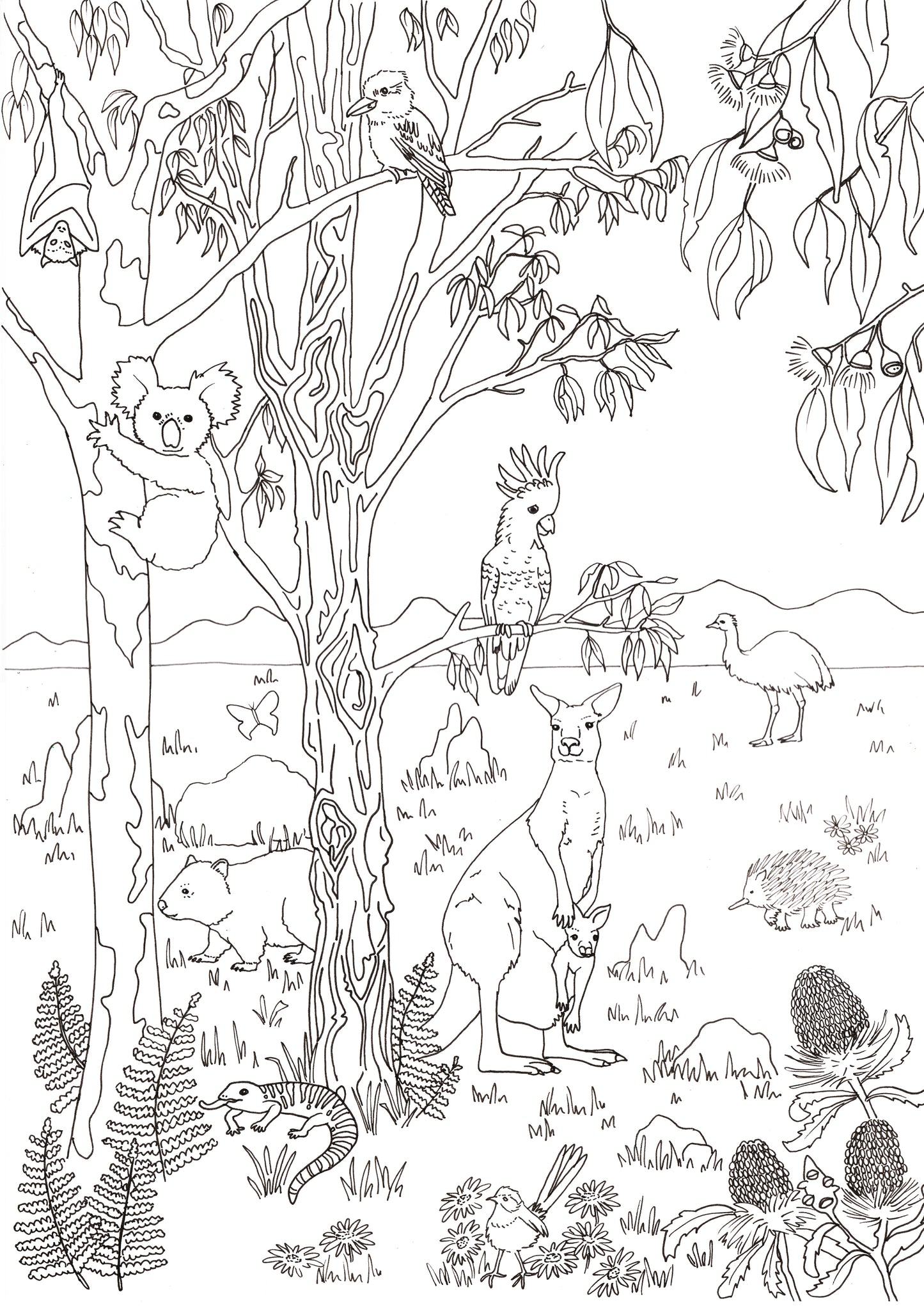 Australian Ocean & Bush Colouring In Bundle DIGITAL DOWNLOAD