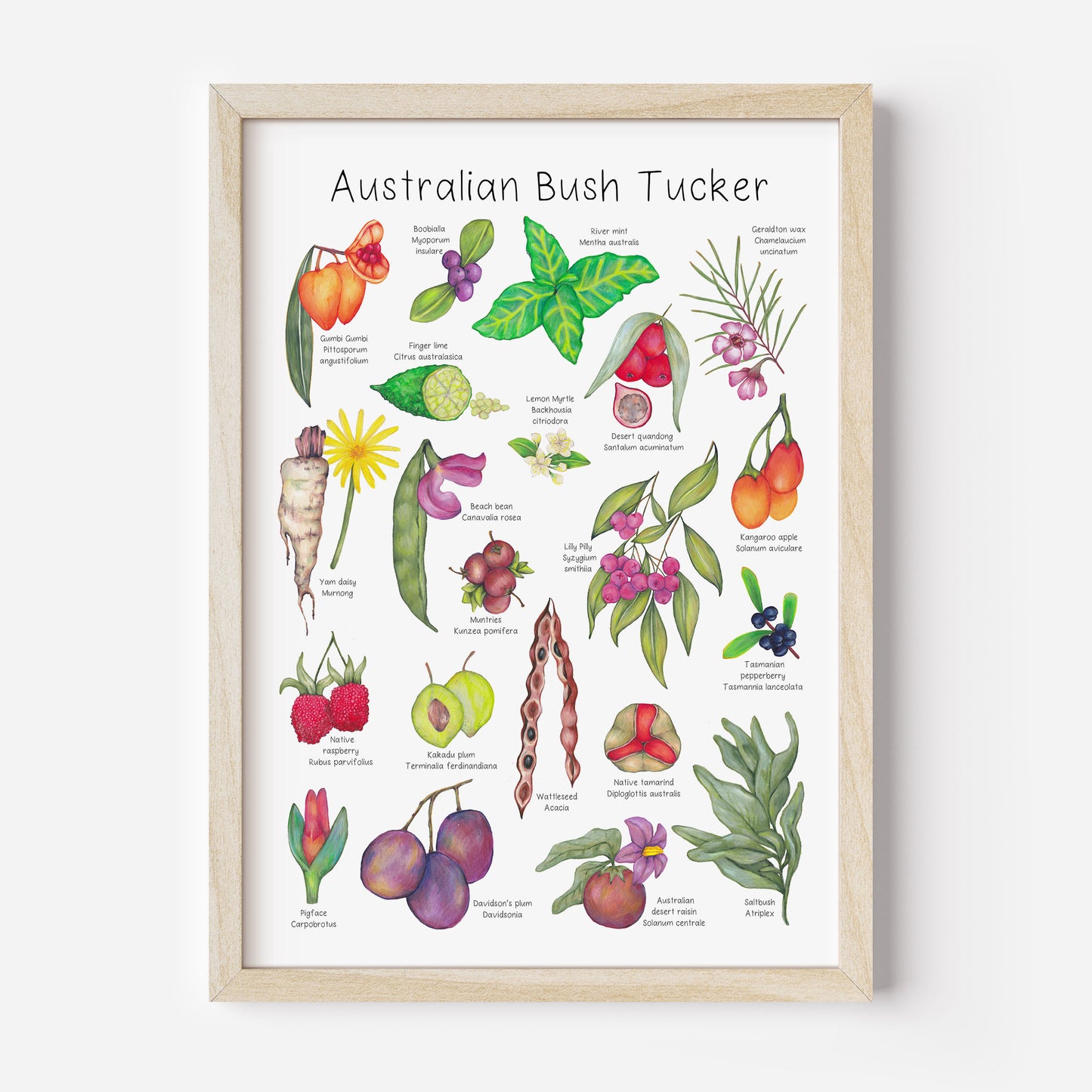 Australian Bush Tucker Poster DIGITAL DOWNLOAD