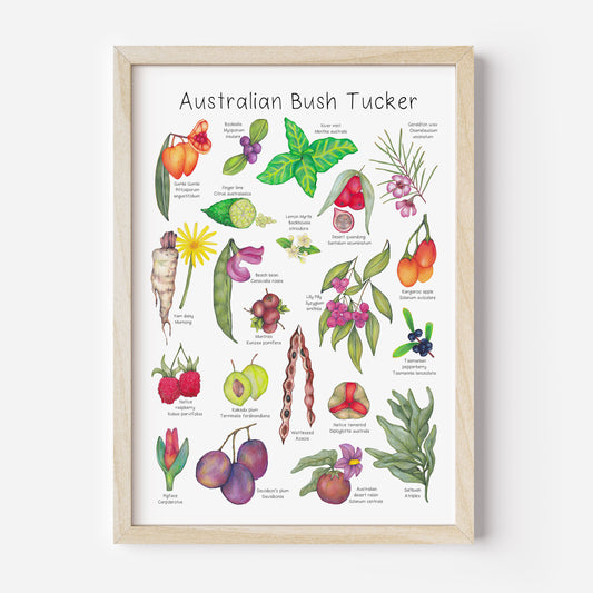 Australian Bush Tucker Poster DIGITAL DOWNLOAD