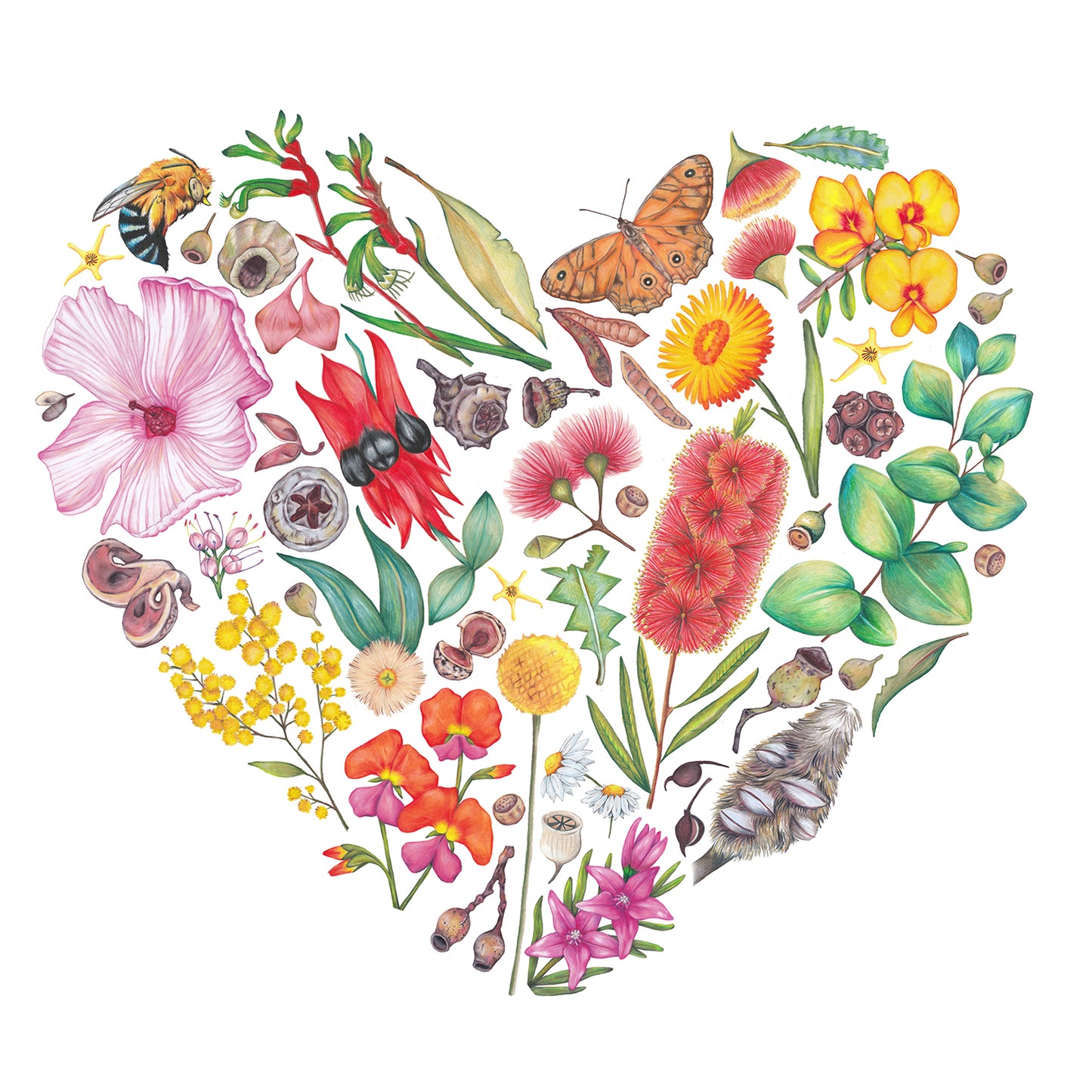 Australian Wildflower Heart DIGITAL DOWNLOAD