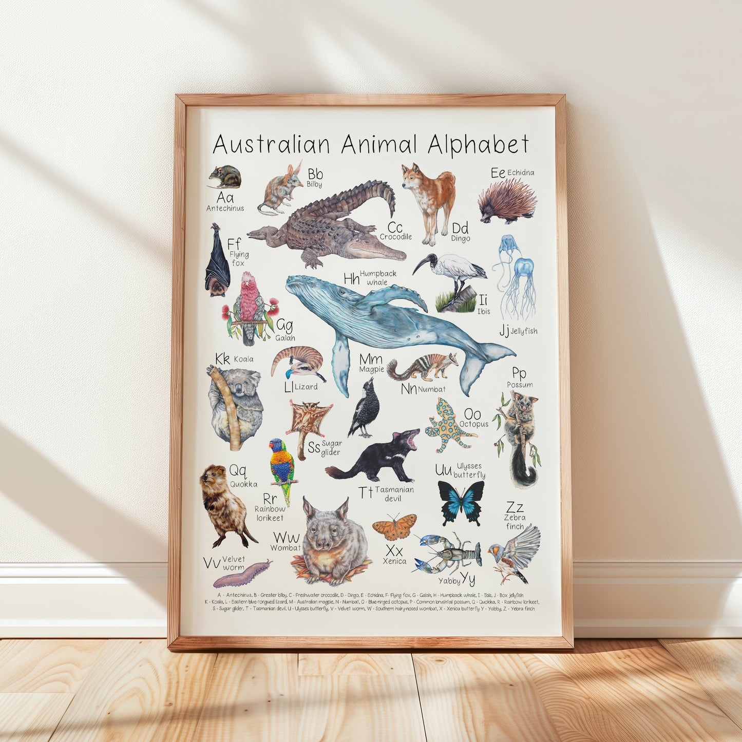 Australian Animal Alphabet A3 Print