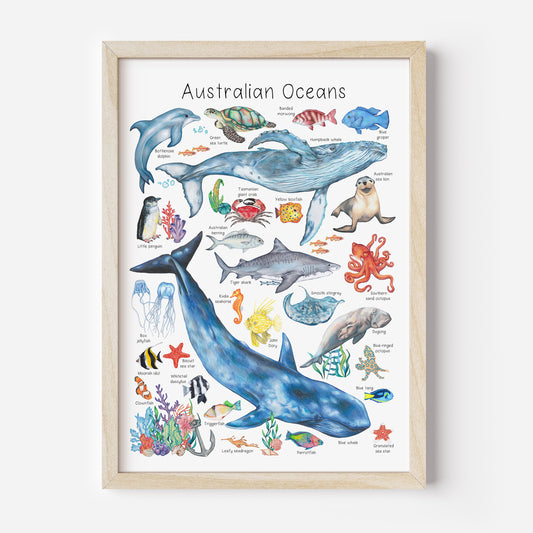 Australian Oceans Poster DIGITAL DOWNLOAD