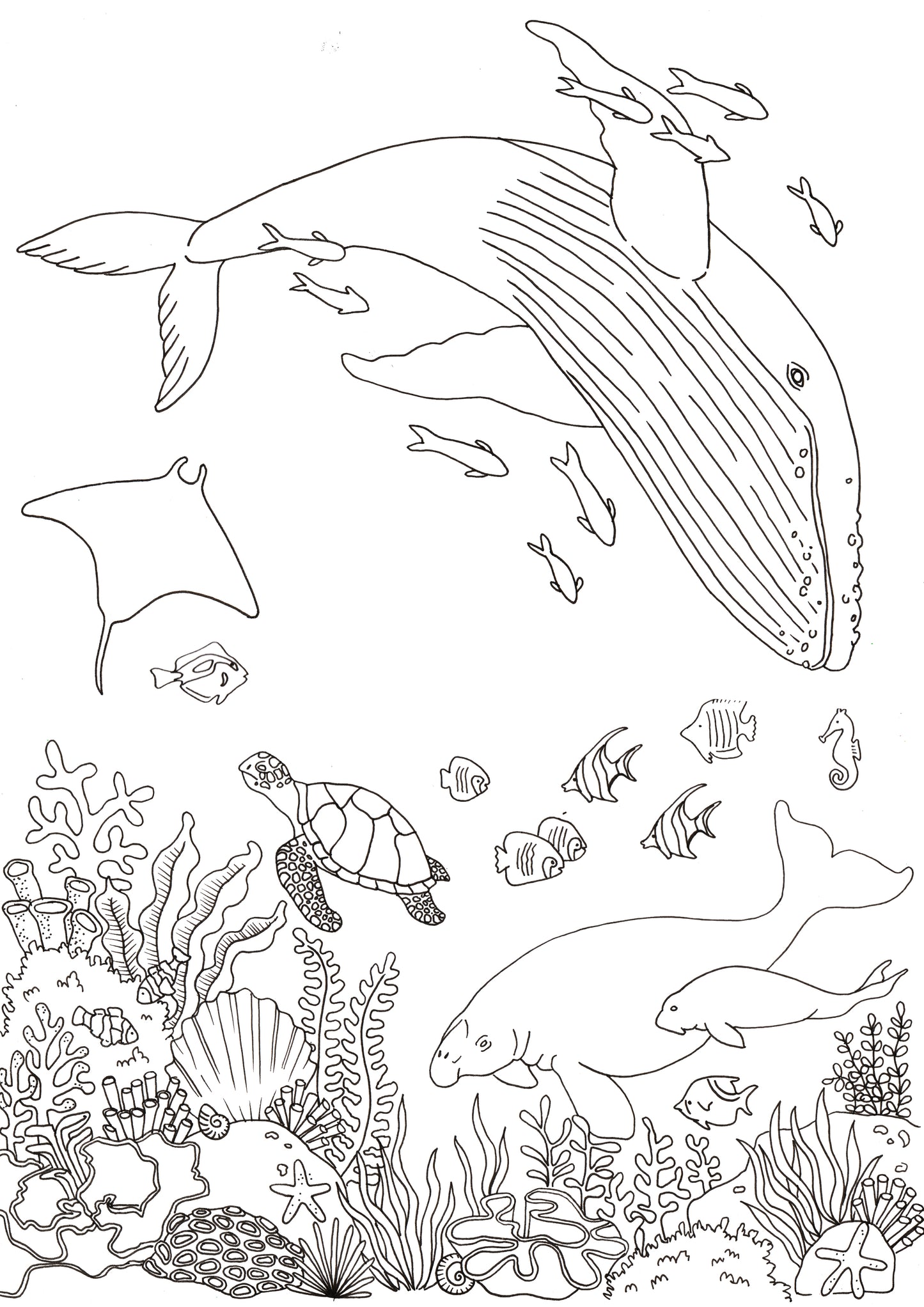 Australian Ocean & Bush Colouring In Bundle DIGITAL DOWNLOAD