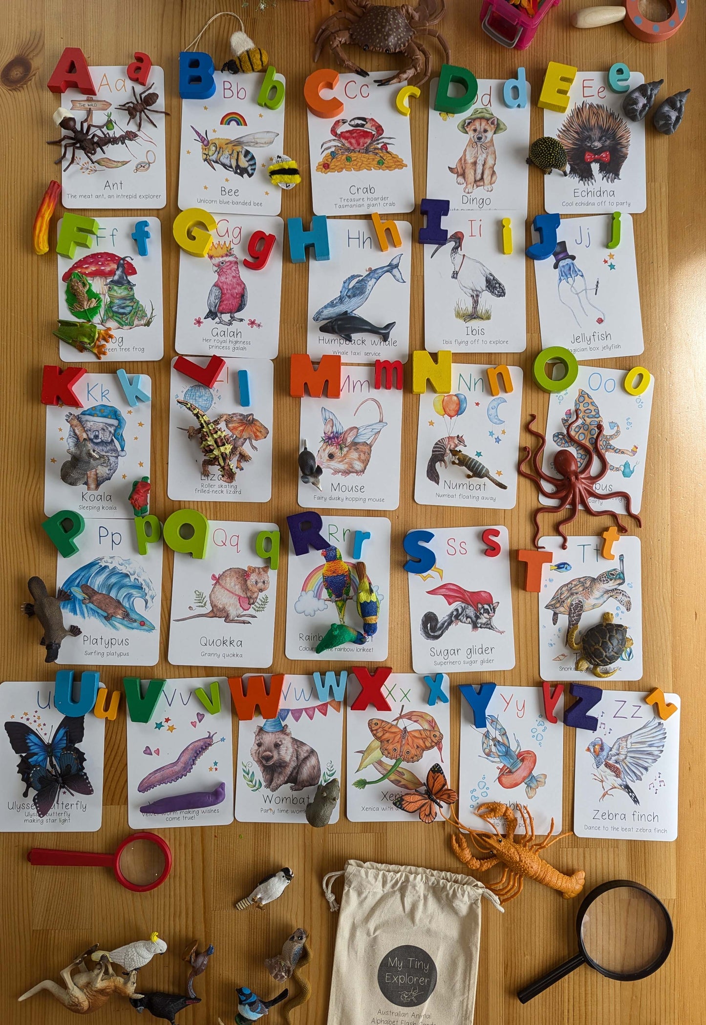 Australian Animal Alphabet Flash Cards