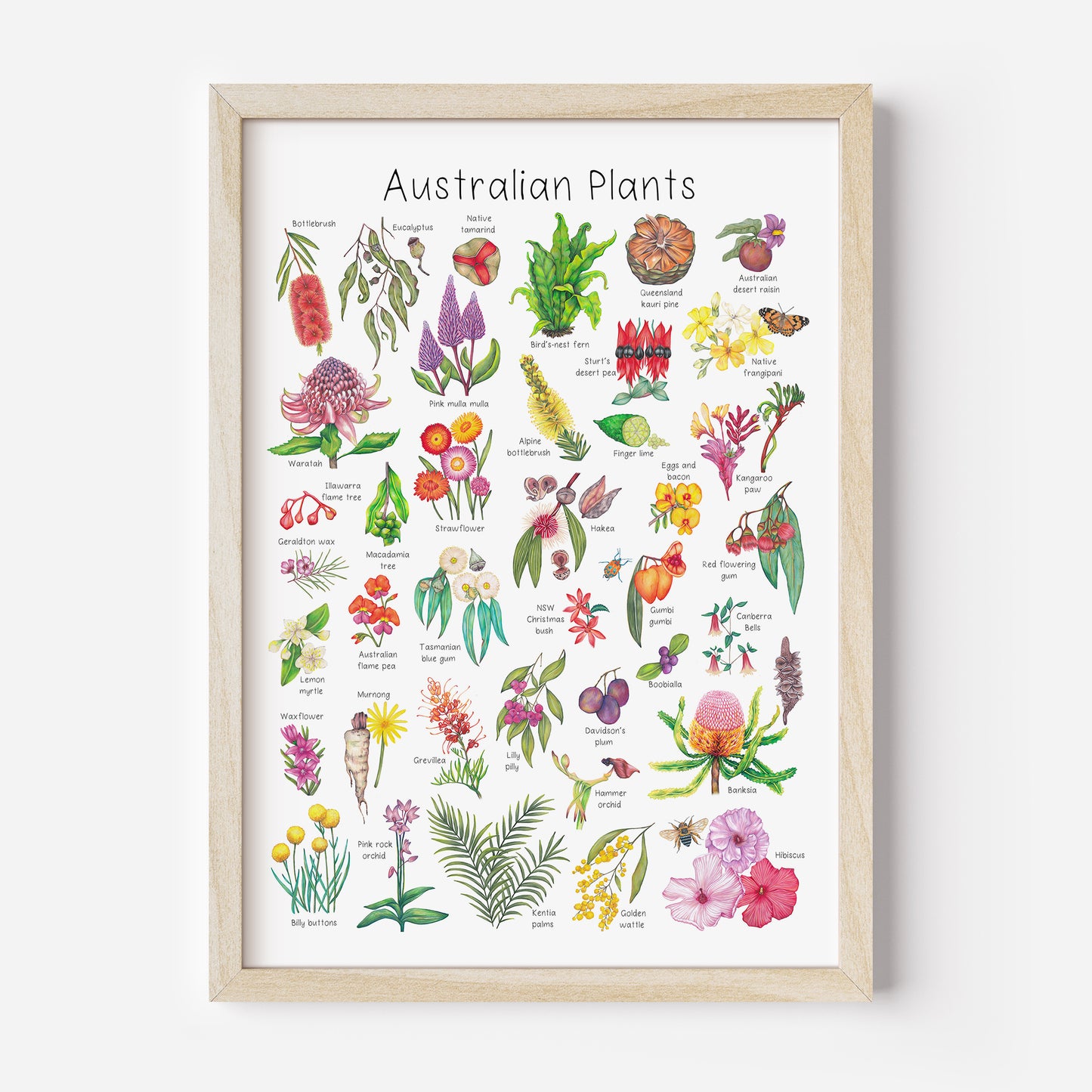 Australian Plants Poster DIGITAL DOWNLOAD