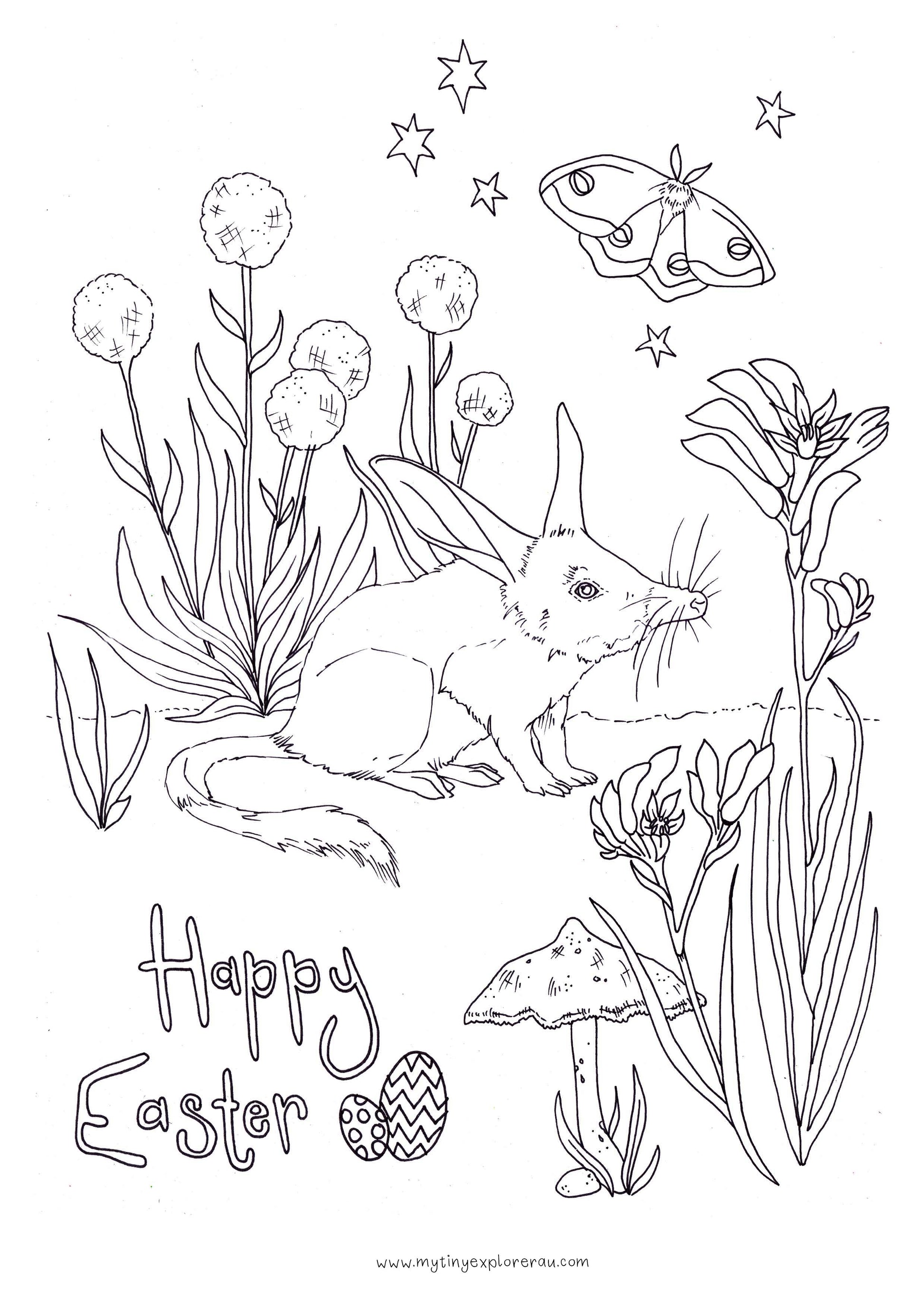 Easter Bilby Colouring In Sheet A4